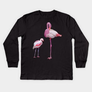 Flamingo Bird Kids Long Sleeve T-Shirt